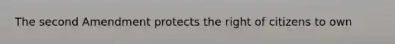 The second Amendment protects the right of citizens to own