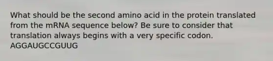 What should be the second amino acid in the protein translated from the mRNA sequence below? Be sure to consider that translation always begins with a very specific codon. AGGAUGCCGUUG