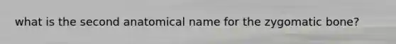 what is the second anatomical name for the zygomatic bone?