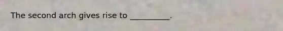 The second arch gives rise to __________.
