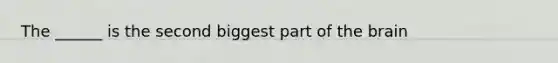 The ______ is the second biggest part of the brain