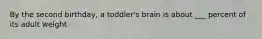 By the second birthday, a toddler's brain is about ___ percent of its adult weight.