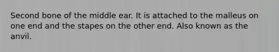 Second bone of the middle ear. It is attached to the malleus on one end and the stapes on the other end. Also known as the anvil.