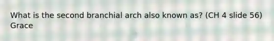 What is the second branchial arch also known as? (CH 4 slide 56) Grace