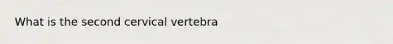 What is the second cervical vertebra