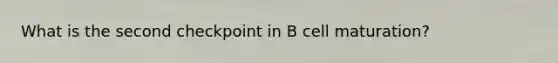 What is the second checkpoint in B cell maturation?