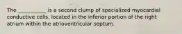 The ___________ is a second clump of specialized myocardial conductive cells, located in the inferior portion of the right atrium within the atrioventricular septum.