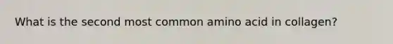 What is the second most common amino acid in collagen?