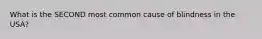 What is the SECOND most common cause of blindness in the USA?