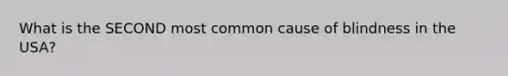 What is the SECOND most common cause of blindness in the USA?