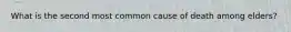 What is the second most common cause of death among elders?