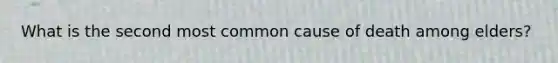 What is the second most common cause of death among elders?