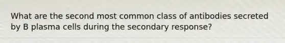 What are the second most common class of antibodies secreted by B plasma cells during the secondary response?