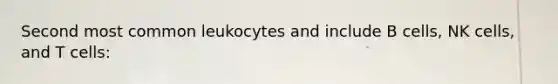 Second most common leukocytes and include B cells, NK cells, and T cells: