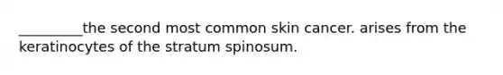 _________the second most common skin cancer. arises from the keratinocytes of the stratum spinosum.