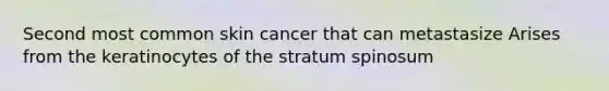 Second most common skin cancer that can metastasize Arises from the keratinocytes of the stratum spinosum