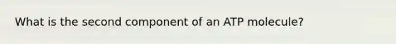 What is the second component of an ATP molecule?