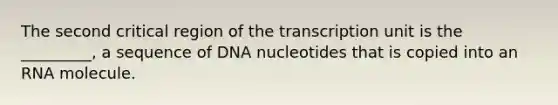 The second critical region of the transcription unit is the _________, a sequence of DNA nucleotides that is copied into an RNA molecule.