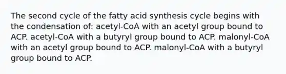 The second cycle of the fatty acid synthesis cycle begins with the condensation of: acetyl-CoA with an acetyl group bound to ACP. acetyl-CoA with a butyryl group bound to ACP. malonyl-CoA with an acetyl group bound to ACP. malonyl-CoA with a butyryl group bound to ACP.