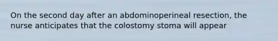 On the second day after an abdominoperineal resection, the nurse anticipates that the colostomy stoma will appear