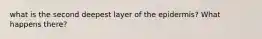 what is the second deepest layer of the epidermis? What happens there?