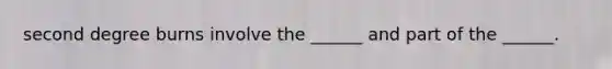 second degree burns involve the ______ and part of the ______.