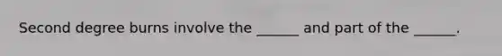 Second degree burns involve the ______ and part of the ______.