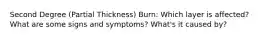 Second Degree (Partial Thickness) Burn: Which layer is affected? What are some signs and symptoms? What's it caused by?