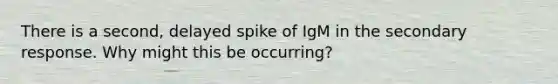 There is a second, delayed spike of IgM in the secondary response. Why might this be occurring?