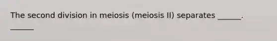 The second division in meiosis (meiosis II) separates ______. ______