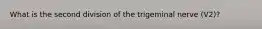 What is the second division of the trigeminal nerve (V2)?