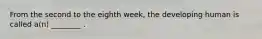 From the second to the eighth week, the developing human is called a(n) ________ .