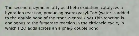 The second enzyme in fatty acid beta oxidation, catalyzes a hydration reaction, producing hydroxyacyl-CoA (water is added to the double bond of the trans-2-enoyl-CoA) This reaction is analogous to the fumarase reaction in the citricacid cycle, in which H2O adds across an alpha-β double bond