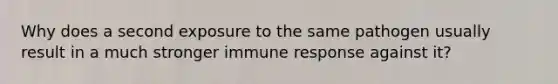 Why does a second exposure to the same pathogen usually result in a much stronger immune response against it?