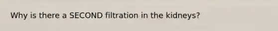 Why is there a SECOND filtration in the kidneys?