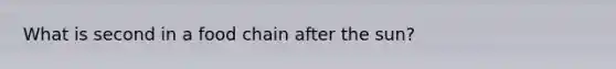 What is second in a food chain after the sun?