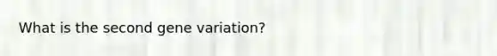 What is the second gene variation?