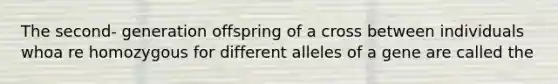 The second- generation offspring of a cross between individuals whoa re homozygous for different alleles of a gene are called the