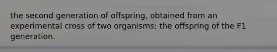 the second generation of offspring, obtained from an experimental cross of two organisms; the offspring of the F1 generation.