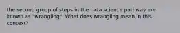 the second group of steps in the data science pathway are known as "wrangling". What does wrangling mean in this context?