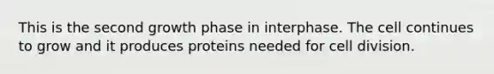 This is the second growth phase in interphase. The cell continues to grow and it produces proteins needed for cell division.