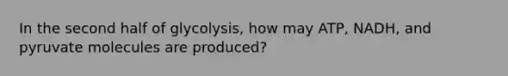 In the second half of glycolysis, how may ATP, NADH, and pyruvate molecules are produced?