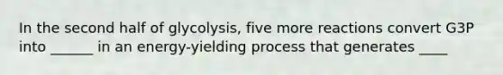 In the second half of glycolysis, five more reactions convert G3P into ______ in an energy-yielding process that generates ____