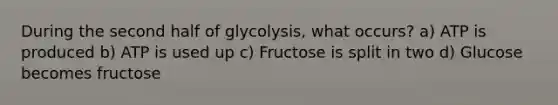 During the second half of glycolysis, what occurs? a) ATP is produced b) ATP is used up c) Fructose is split in two d) Glucose becomes fructose