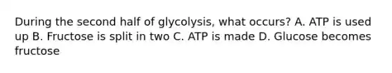 During the second half of glycolysis, what occurs? A. ATP is used up B. Fructose is split in two C. ATP is made D. Glucose becomes fructose