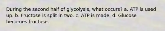 During the second half of glycolysis, what occurs? a. ATP is used up. b. Fructose is split in two. c. ATP is made. d. Glucose becomes fructose.