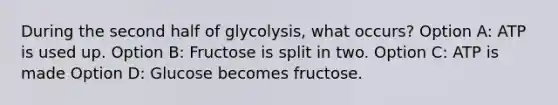 During the second half of glycolysis, what occurs? Option A: ATP is used up. Option B: Fructose is split in two. Option C: ATP is made Option D: Glucose becomes fructose.