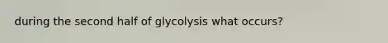 during the second half of glycolysis what occurs?