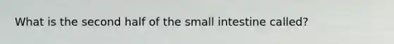 What is the second half of the small intestine called?