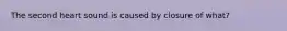 The second heart sound is caused by closure of what?